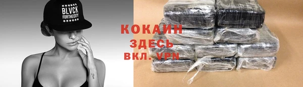 сатива Козловка